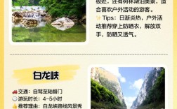 金丝峡大峡谷旅游攻略，如何规划一次完美的探险之旅？