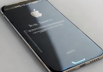 苹果6s中国电信版如何更改网络设置或解锁？