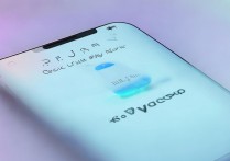 vivoy66怎么应用加锁，vivoy66应用加密方法
