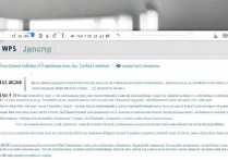 WPS 怎么固定下划线？WPS 固定下划线和边框方法介绍