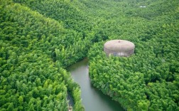 天目湖竹海风景区