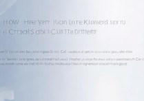 VIVO X9来电转移怎么设置？详细步骤在这里！