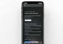 苹果可视电话怎么打？iPhone facetime通话教程