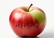apple 笔