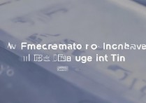 怎么看vivo使用时间查询，vivo手机使用记录在哪里看