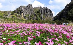 春湾石林风景区