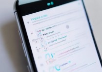 vivo手机怎么添加网络？详细步骤在这里！