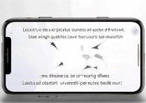 苹果手机无线网开关找不到？教你快速打开！