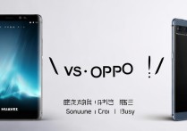 华为和oppo建议买哪个