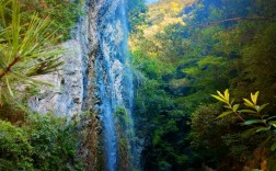 尧治河风景区旅游攻略，如何规划一次完美的旅行体验？