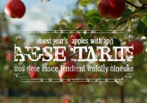 明年苹果怎么样？苹果明年新品值得期待吗