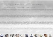 vivo系统升级具体操作步骤是怎样的？