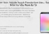 vivoy51怎么刷机教程，vivo手机刷机包在哪下载