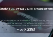vivox3低温闪屏怎么办
