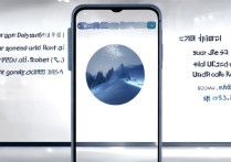 vivo nex双屏怎么用？侧屏+副屏功能全攻略来了！