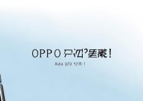 OPPO找不到小布同学？开启方法在这里！