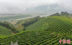 旌德到黄山风景区