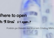 小米11 Ultra应用分身在哪打开？设置方法详解