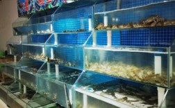 天津在哪里买海鲜