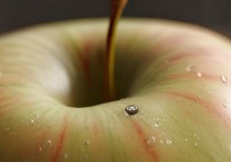 苹果怎么弄按键声音了？iPhone按键音设置方法