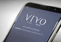 vivo手机分辨率怎么看