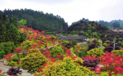 重庆五洲园风景区电话