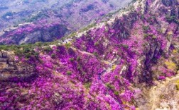 青岛大珠山风景区