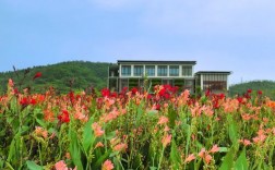 深圳龙岗坪地风景区