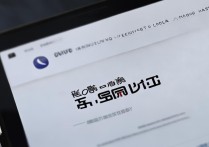 vivo手机真假查询官网