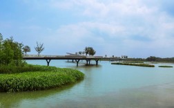 汾湖风景区