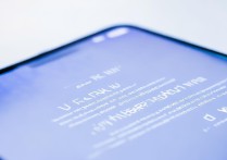 vivo的安卓彩蛋怎么开