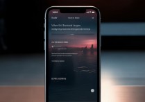 苹果手机弱光模式怎么设置？夜间拍照不模糊技巧