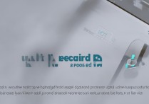 如何精准查看vivo手机详细使用时长与记录？