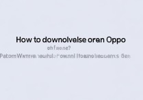 oppo手机怎么下载小说？哪里能免费下载？