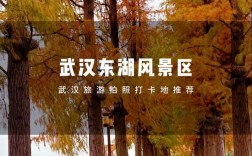 东湖听涛风景区怎么去