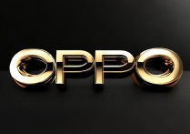 oppo怎么大字