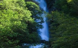 桃花江风景区