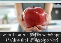 苹果怎么自拍不反过来？iPhone自拍镜像怎么设置