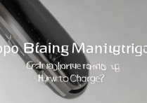 oppo手环没磁吸了？怎么充啊？