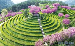 平昌县三十二梁风景区