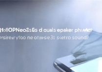 iQOONeo6S是双扬声器吗？Neo6SE有3D立体音效吗？