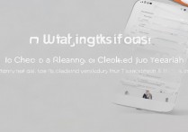 vivox9P清理垃圾内存不足怎么办？