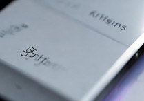 vivox9为何找不到4g设置入口？