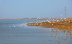 景德镇杨湾风景区