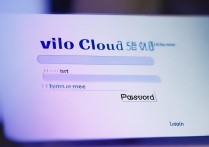 vivo云服务登录是否需要付费？