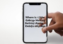 苹果7手势设置方法在哪里？详细步骤是什么？