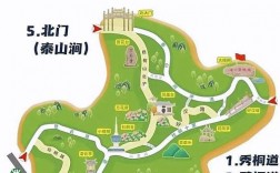 梧桐山旅游攻略，如何规划一次完美的登山之旅？