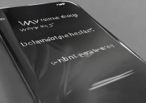 苹果6s手机语音听不到声音是怎么回事啊