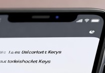 苹果手机屏幕上快捷键怎么设置不了怎么办