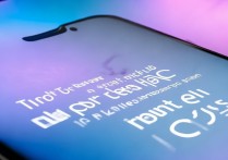 vivo手机怎么放大字体？系统设置里找不到怎么办？